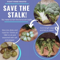 May 30: Save the Stalk