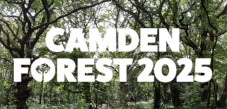 Logo for the Camden Forest