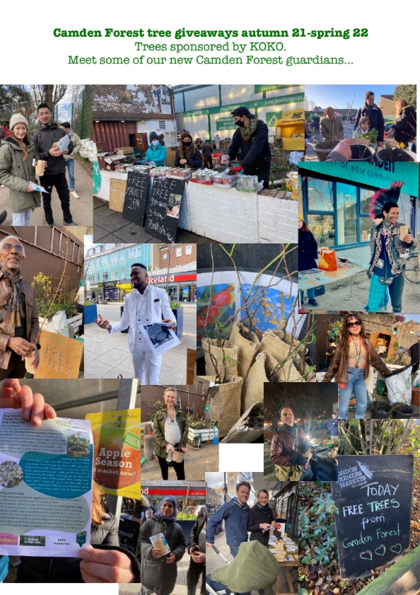 Collage of photos of Camden Forest giveaways