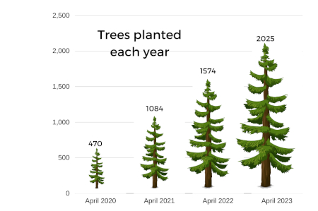 Graph of trees planted each year by the Camden Forest Project.